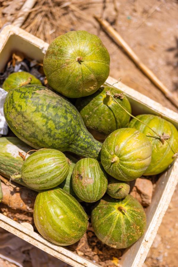 Agach Aparts-Savran Milas ภายนอก รูปภาพ
